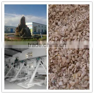 Broken Kernels for Birds Food thumbnail-1