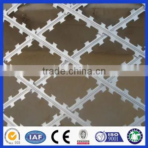 Chaina Whosale Razor Barbed Wire Spike Strips thumbnail-5