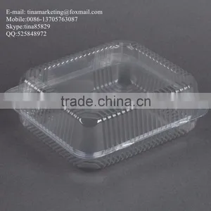 Square Clear Hinged Clamshell Type Plastic StayLock Medium Food Container for Salad, Muffins, Cake, Pastry and Fruit Packaging thumbnail-5