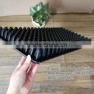 Not Coated Black PS Material Plastic Nursery Plant Seed Starting Tray 200 Cell,Plastic Seedling Germination Tray for Farm Using thumbnail-3