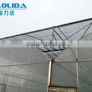 Plastic Film Greenhouse Covered By Polythene Film From China Supplier thumbnail-3