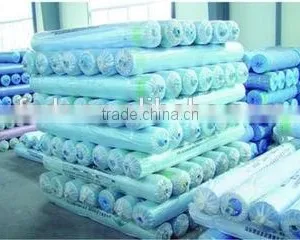 Blow Molding Type Greenhouse Film With uv Protection for Vegetables and Flowers thumbnail-1