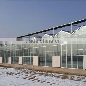 Glass Horticultural Greenhouse for Flower Growing thumbnail-1
