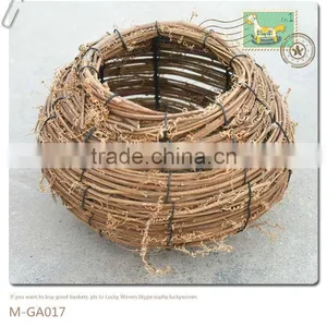 Calamus Beccarii Flowerpot &narcissus Pot &flower Basket thumbnail-1