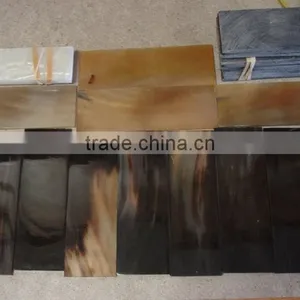 Blank Buffalo Horn and Bone Plates thumbnail-1