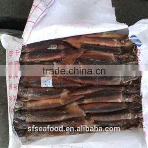 Grey Mullet of Illex Squid thumbnail-1