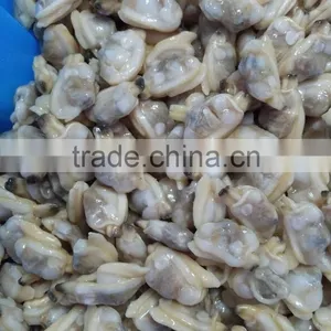 Frozen Boiled Baby Clam Meat for Seafood Mixed Bulk Packing thumbnail-1