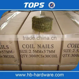 Factory Wholesale Screw Shank / Smooth Wire Coil Nail thumbnail-2