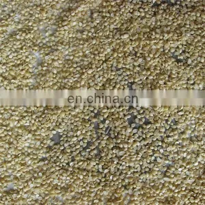 High Performance Soaked Groundnut Cleaning Machine thumbnail-4