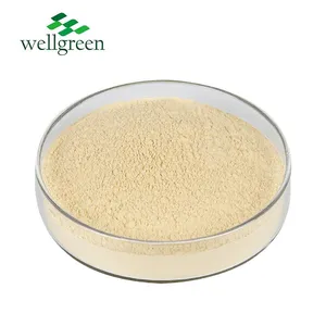 Root Ginsenosides 80% Korean Red Panax Siberian Ginseng Extract Ginseng Powder thumbnail-2