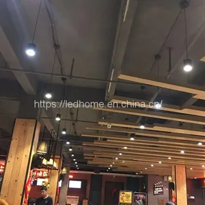 Hanging Adjustable COB LED Down Lights (12W) thumbnail-5