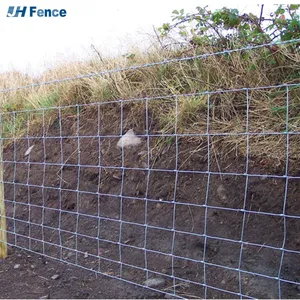 Fixed Knot Iron Wire Mesh Fence for Agriculture and Livestock Fields thumbnail-5
