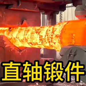 Straight Shaft Forgings | Forged Components | Factory Customization thumbnail-1