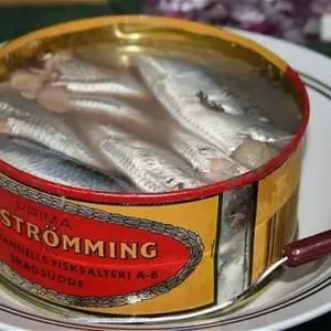 Canned Fish Line Canned Tuna Fish Processing Machines thumbnail-6