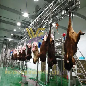 Full Hanging Cow Slaughter Machinery Project Cow Butcher Equipment Durable Stainless Steel Abattoir Line Beef Processing Plant thumbnail-2