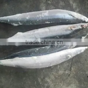 FROZEN PACIFIC SAURY WHOLE ROUND thumbnail-5
