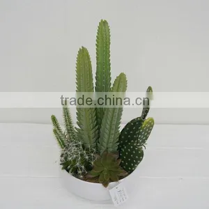 2014 Latest Green Mixing Artificial Plants Cactus Plants Wholesale thumbnail-2