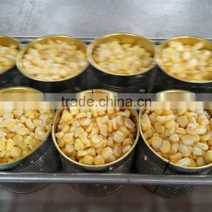 IQF Corn Kernel thumbnail-4