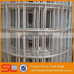 High Quality Galvanized Welded Wire Mesh thumbnail-3