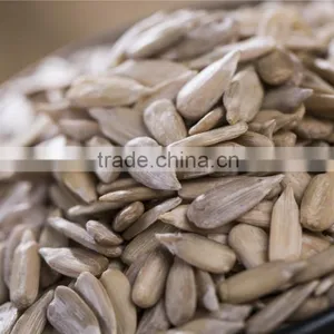 Hulled Sunflower Kernels Confectionary Grade and Bakery Grade thumbnail-4