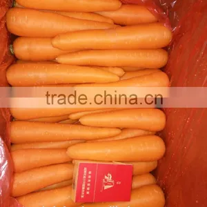80-150G Fresh Carrot thumbnail-1