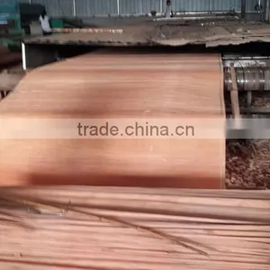 Wood Veneer Used for Plywood/engineered Wood Veneer/PLB Veneer thumbnail-6