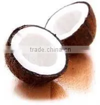 Husked and Semi Husked Coconut Exporter From India thumbnail-2