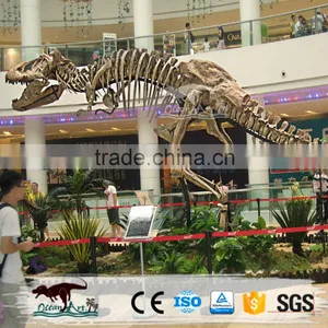 Indoor Exhibition Life Size Artificial Dinosaur Skeleton thumbnail-3