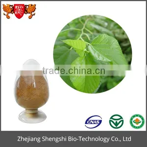 Best Price Food Grade Product Green Organic Mulberry Leaf Extract Powder thumbnail-4