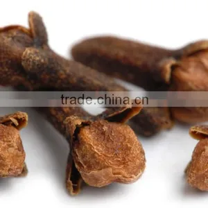 Clove thumbnail-1