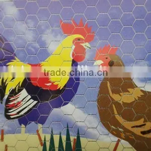 Galvanized Hexagonal Chicken Coop Wire Mesh thumbnail-1