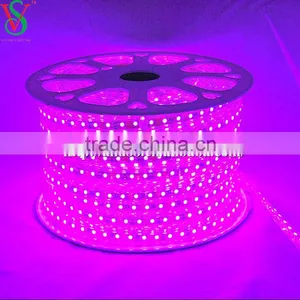 230V SMD 5050 Flexible LED Strip Light thumbnail-4