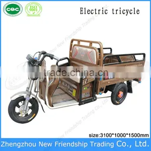 Cargo Delivery Small 3 Wheel Cheap Adult Tricycle for Sale thumbnail-3