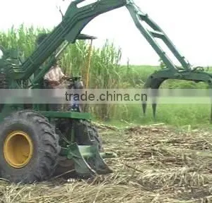 Sugarcane Harvest thumbnail-1