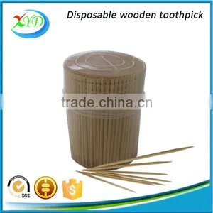 250 Piece Plastic Bottle Wooden Toothpick thumbnail-5