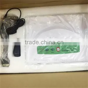 Professional Ultrasonic Machine/Ultrasonic Device Portable Ultrasound Machine Price thumbnail-6