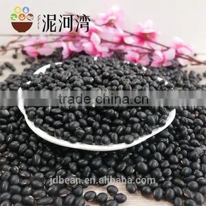 NEW CROP BLACK KIDNEY BEAN thumbnail-6