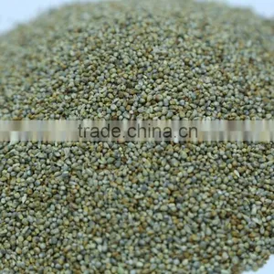 Millet Seeds thumbnail-1