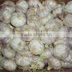 White Garlic in Mesh Bags thumbnail-1