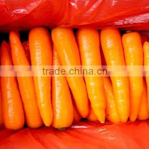 China Carrot Size From S to 2L thumbnail-1
