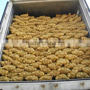 Yellow Potato thumbnail-1