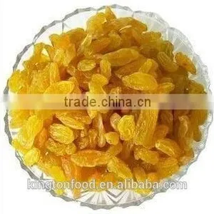 Chinese Wholesale Price Dried Golden Raisin thumbnail-1
