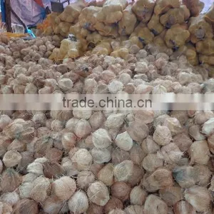 Semi Husked Coconut, Best Quality, Cheap Price thumbnail-5