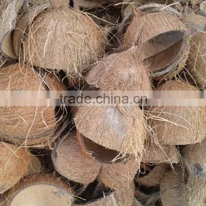 Dry Coconut Shell thumbnail-1