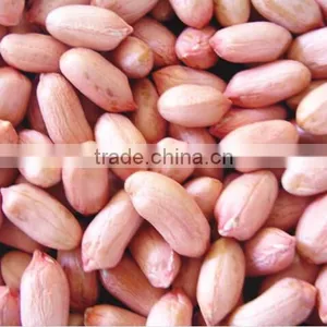 2016 New Crop Blanched Peanut thumbnail-5