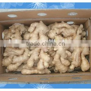 Organic Fresh Ginger thumbnail-2
