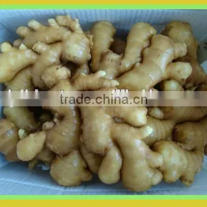Organic Fresh Ginger thumbnail-4