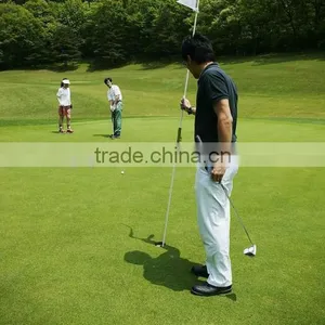 2014 Worm-controlling on Golf Courses, Grasslands, Botanic Plantation, Etc. thumbnail-1