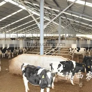 Poultry Farms thumbnail-1