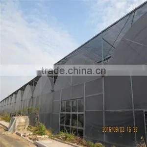 Factory Prices Non-wetting Mushroom Growing Greenhouse thumbnail-6